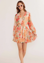 Aida Long Sleeve Mini Dress